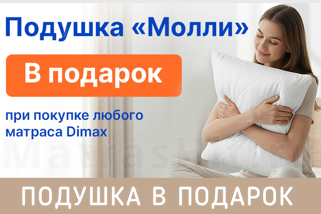 1 подушка Dimax Молли 40х60 в подарок c 01.01.2026 1 подушка Dimax Молли 40х60 в подарок c 01.01.2026